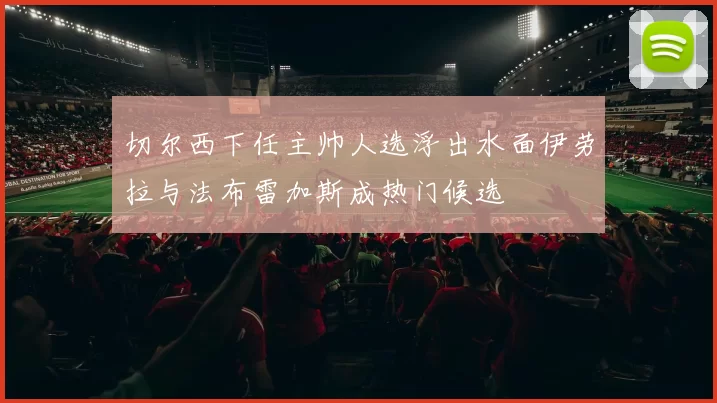 切尔西下任主帅人选浮出水面伊劳拉与法布雷加斯成热门候选